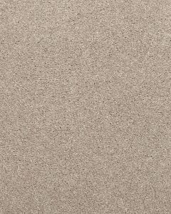 Willow Creek Textured SmartStrand 40oz Carpet