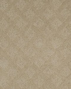 Momentous Beauty Patterned SmartStrand Carpet