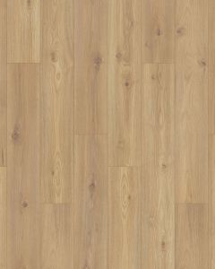 Pergo Elements Freywood Springs Natural Hickory 8" Laminate