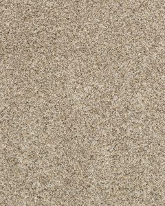 Purrsonality II Pet Friendly 60oz Carpet