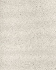 Peaceful Balance Nylon Carpet