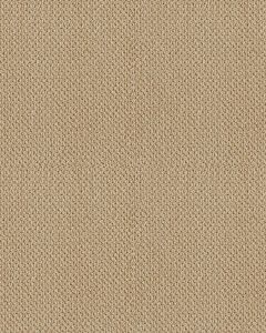 Smart Thinking Textured Loop Nylon Carpet