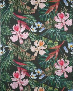 Tropics TC6 Black Area Rug