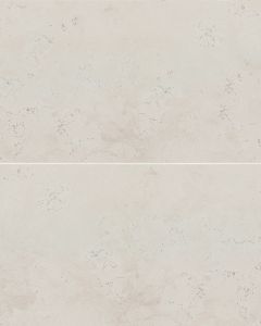 Thaddeus White Matte Glazed Porcelain 24"x48" Field Tile