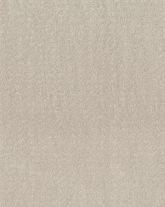 Trendy Nylon 34oz Carpet