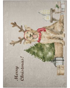 Wonderland WN8 Beige Area Rug