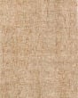 Calisa CS5 Desert Area Rug