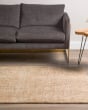 Calisa CS5 Desert Area Rug