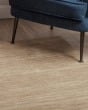 Rafia RF100 Taupe Area Rug