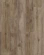 COREtec Plus Enhanced 7"x48" Nares Oak Luxury Vinyl