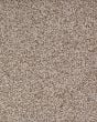 Calm Retreat Kashmere Nylon Textured Carpet