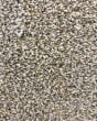 Colorful Mix II 918 Textured Carpet