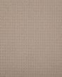 Graceful Opulence SmartStrand Carpet