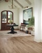 Adura Max Plank Preservation Artifact 7"x48" Luxury Vinyl