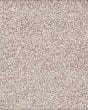 Calm Retreat Kashmere Nylon Textured Carpet