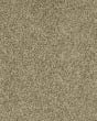 Cherished Tradition Kashmere Nylon Carpet