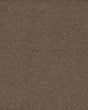 Classical Approach SmartStrand 70oz Carpet