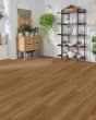 Covington Falls SolidTech Select Benton Luxury Vinyl