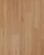 Covington Falls SolidTech Select Benton Luxury Vinyl