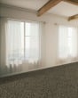Dove Creek SmartStrand Textured 45oz Carpet