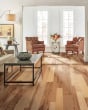 Nature's Canvas Silver Hickory Natural Hardwood