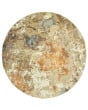 Evolution 8031b Gold/Beige Area Rug