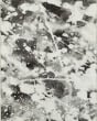 Evolution 8035b Charcoal/White Area Rug