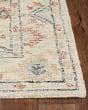 Hudson 2460 Ivory Medina Area Rug