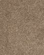 Mellow Retreat Textured SmartStrand Carpet