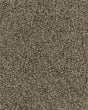 Dove Creek SmartStrand Textured 45oz Carpet