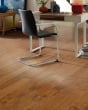 Ocala Maple Surfside 5" Hardwood