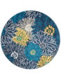 Passion PSN17 Blue Area Rug