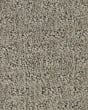 Stylish Attraction Patterned EverStrand Carpet