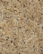 Venetian Gold Granite Countertop