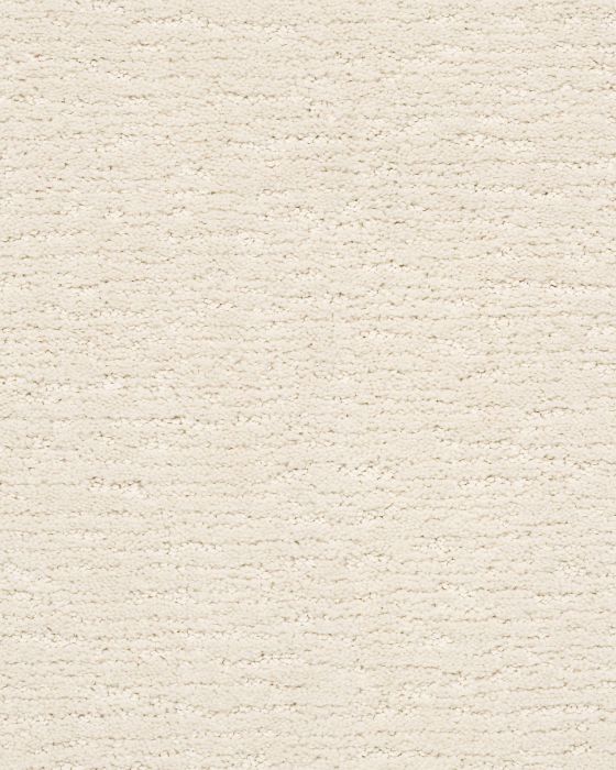 Anderson Tuftex ZZ077 Sketch | Carpet Collection