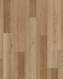 COREtec Andromeda Pine - Luxury Vinyl | Carpet Exchange