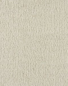 Paw Pathway Textured 38oz Carpet