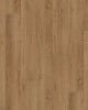 COREtec Plus XL Enhanced Waddington Oak Luxury Vinyl