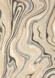 Anastasia 68007 Beige/Charcoal Area Rug