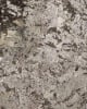 Bianco Antico Granite Countertop