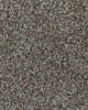 Canyon Village Textured 60oz PureColor Carpet