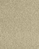 Cherished Tradition Bare Necessities Kashmere Carpet