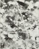 Evolution 8035b Charcoal/White Area Rug