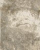 Evolution 960a Beige/Grey Area Rug