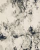 Evolution 978a Ivory/Beige Area Rug