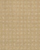Fuji Nylon Patterned 34oz Carpet