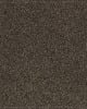 Gentle Quality Kashmere Nylon Carpet