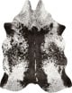 Grand Canyon GC-03 Ivory/Charcoal Area Rug