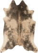 Grand Canyon GC-13 Beige/Ash Area Rug