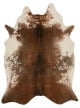 Grand Canyon GC-14 Coffee/Ivory Area Rug